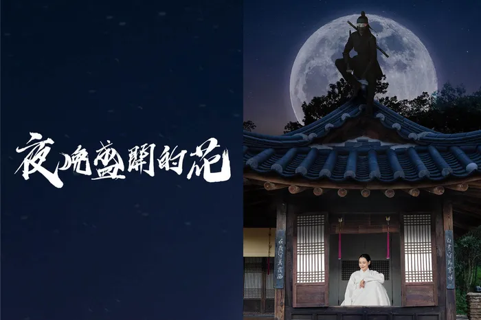 夜晚盛開的花 線上看