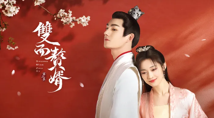 雙面贅婿 第二季 線上看