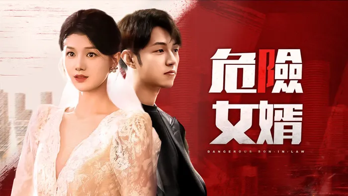 危險女婿 線上看