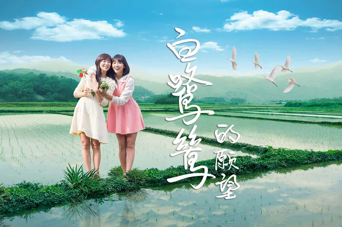 白鷺鷥的願望 線上看