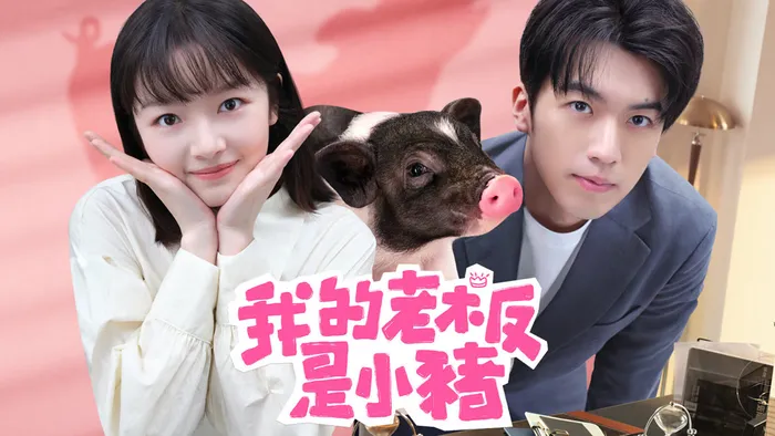 我的老闆是小豬 線上看