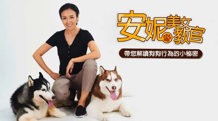 安妮美女教官 線上看