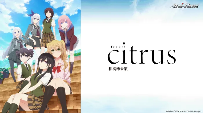 citrus～柑橘味香氣 線上看