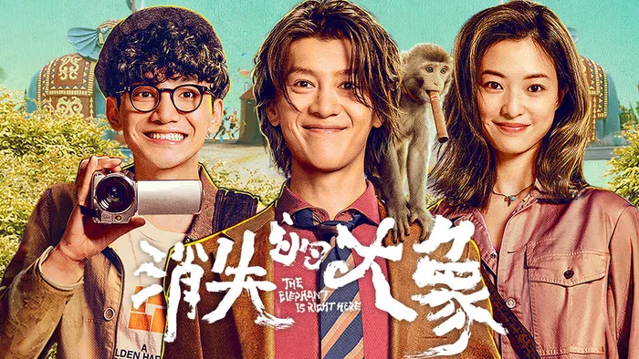 消失的大象 線上看
