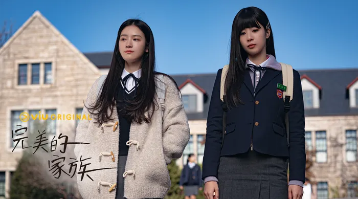完美的家族 線上看