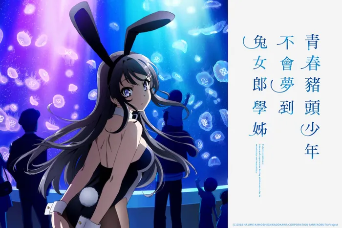 青春豬頭少年不會夢到兔女郎學姊 線上看