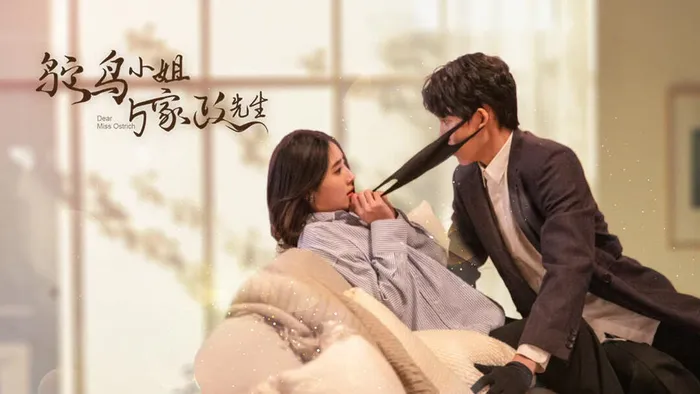 鴕鳥小姐與家政先生 線上看