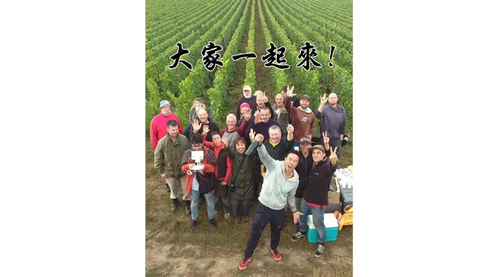 大家一起來 線上看