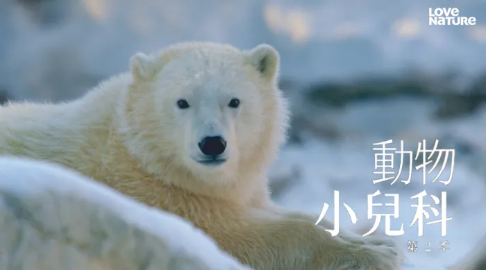 《動物小兒科 第二季》綜藝線上看 (2026)