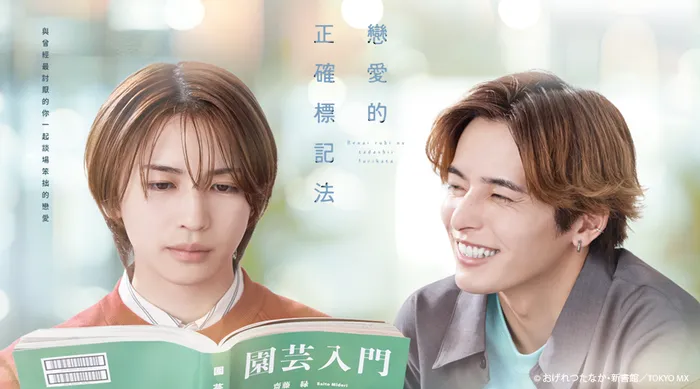 戀愛的正確標記法 線上看