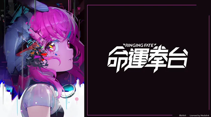 命運拳台 線上看