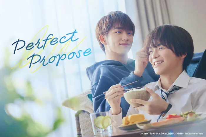 Perfect Propose 線上看