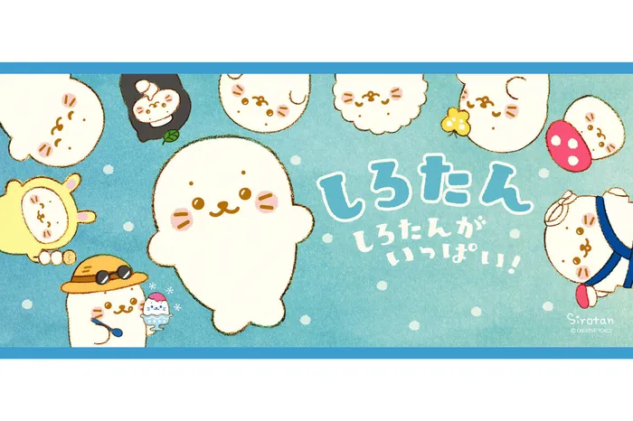海豹小白 線上看