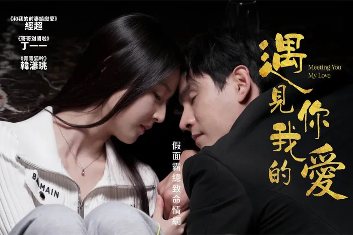 遇見你，我的愛 線上看