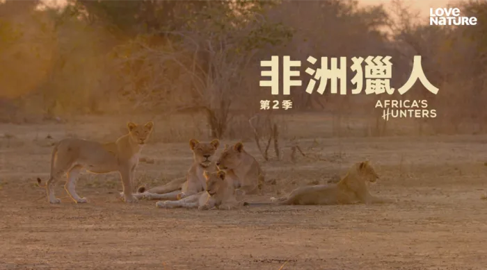 《非洲獵人 第二季》綜藝線上看 (2026)