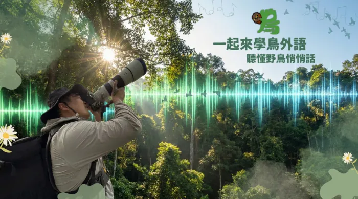 一起來學鳥外語 線上看